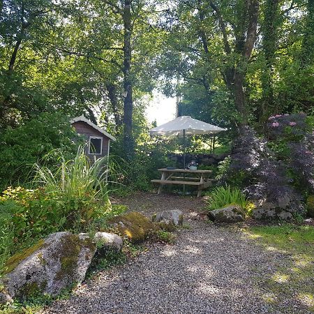 Appartement Hollybanks à Moycullen Extérieur photo