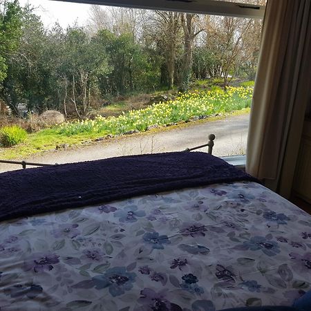 Appartement Hollybanks à Moycullen Chambre photo