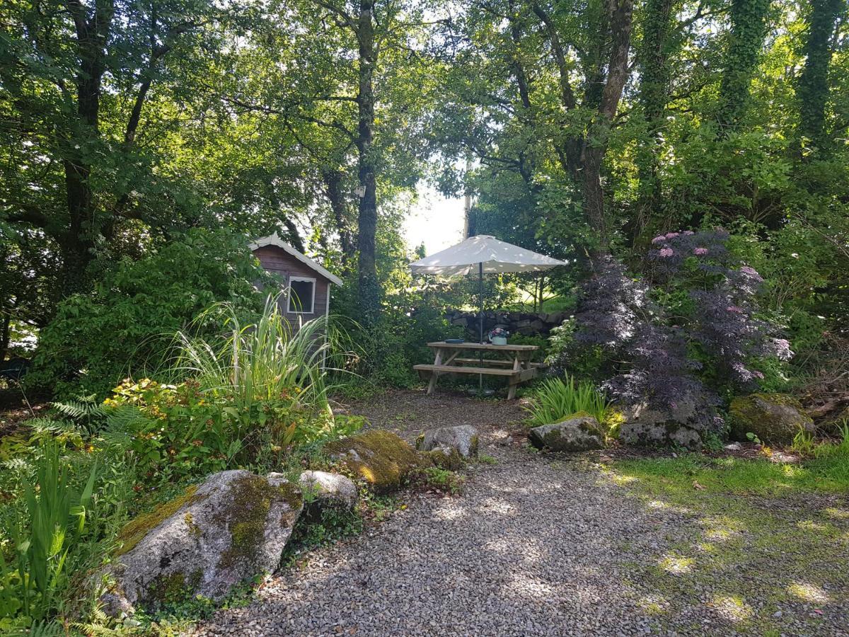 Appartement Hollybanks à Moycullen Extérieur photo