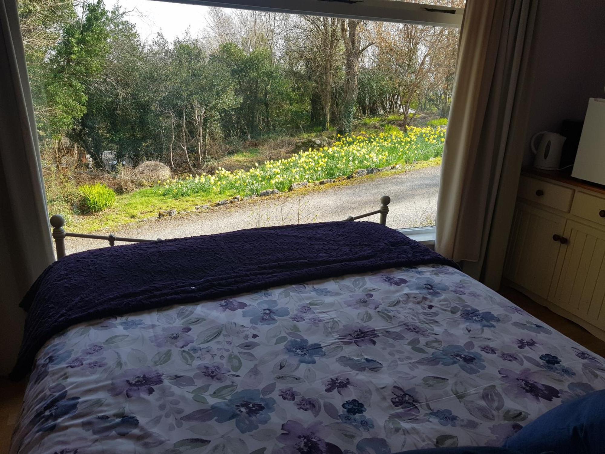 Appartement Hollybanks à Moycullen Chambre photo