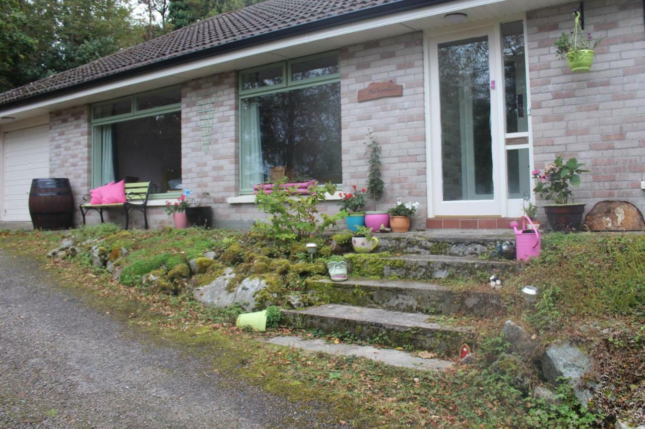 Appartement Hollybanks à Moycullen Extérieur photo